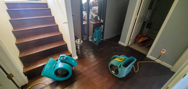 Best Flood restoration services  in Russellville, AR