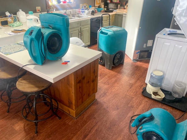Best 24-hour water damage restoration  in Russellville, AR