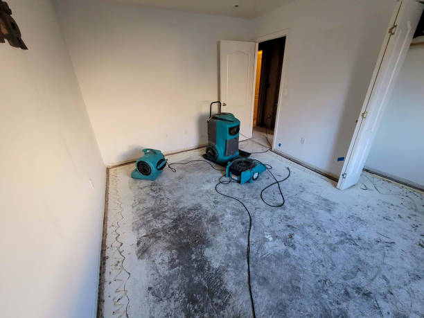 Best Water damage restoration insurance claims  in Russellville, AR