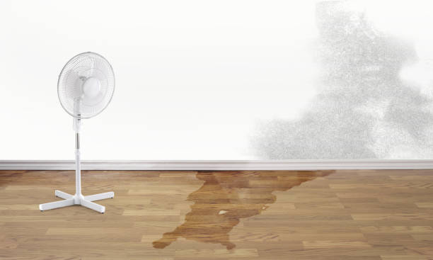 Best 24-hour water damage restoration  in Russellville, AR