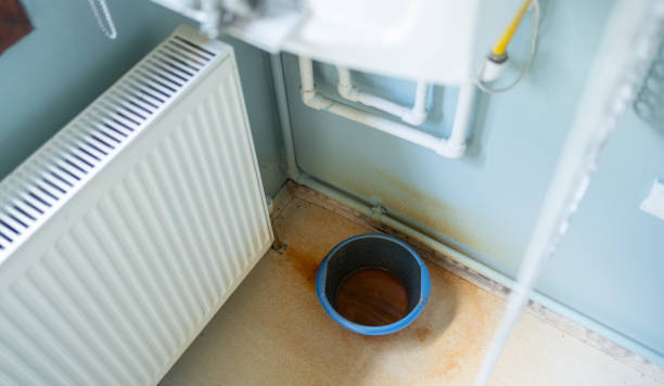 Best Flood damage cleanup  in Russellville, AR
